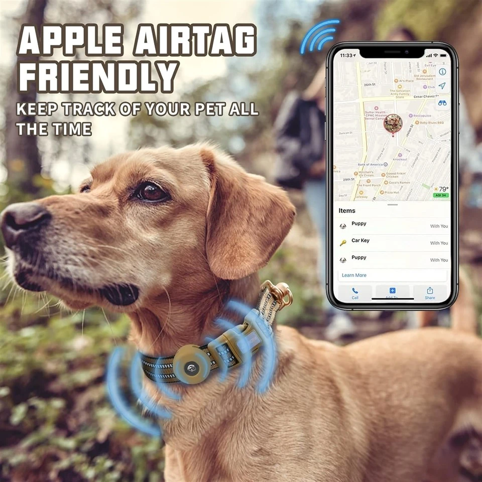 Dog Collar DC-001 With Air Tag Holder (GPS Device Not Included)