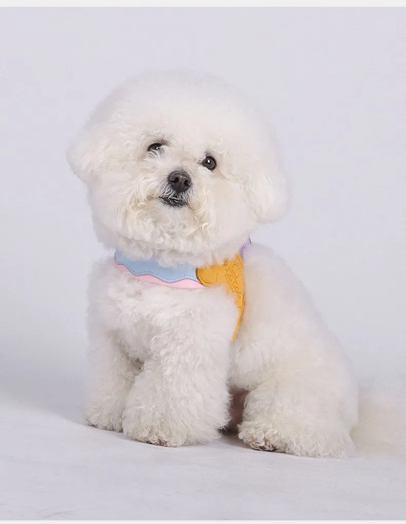 Puppy Harnesses For Small Dogs best